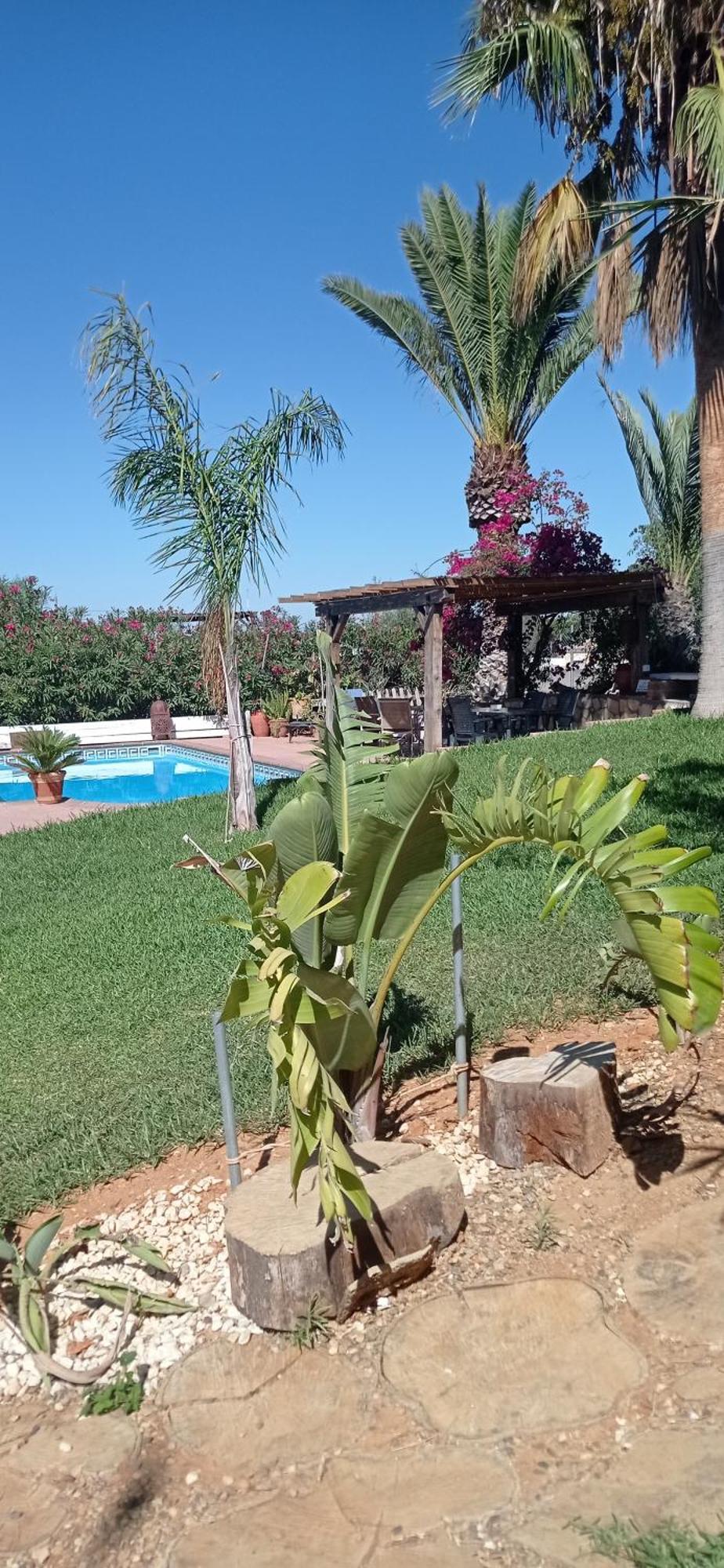 La Luciernaga Konuk evi Chiclana de la Frontera Dış mekan fotoğraf