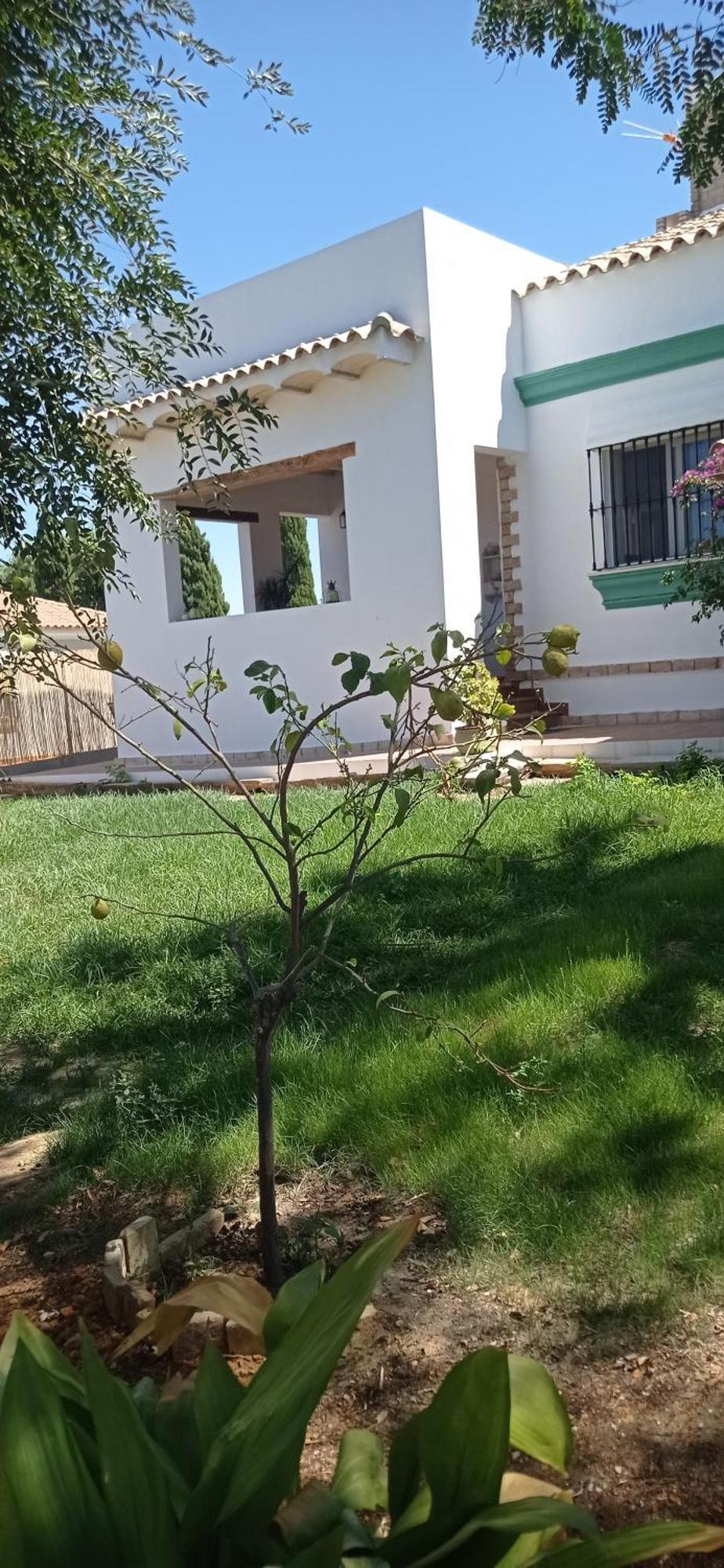 La Luciernaga Konuk evi Chiclana de la Frontera Dış mekan fotoğraf