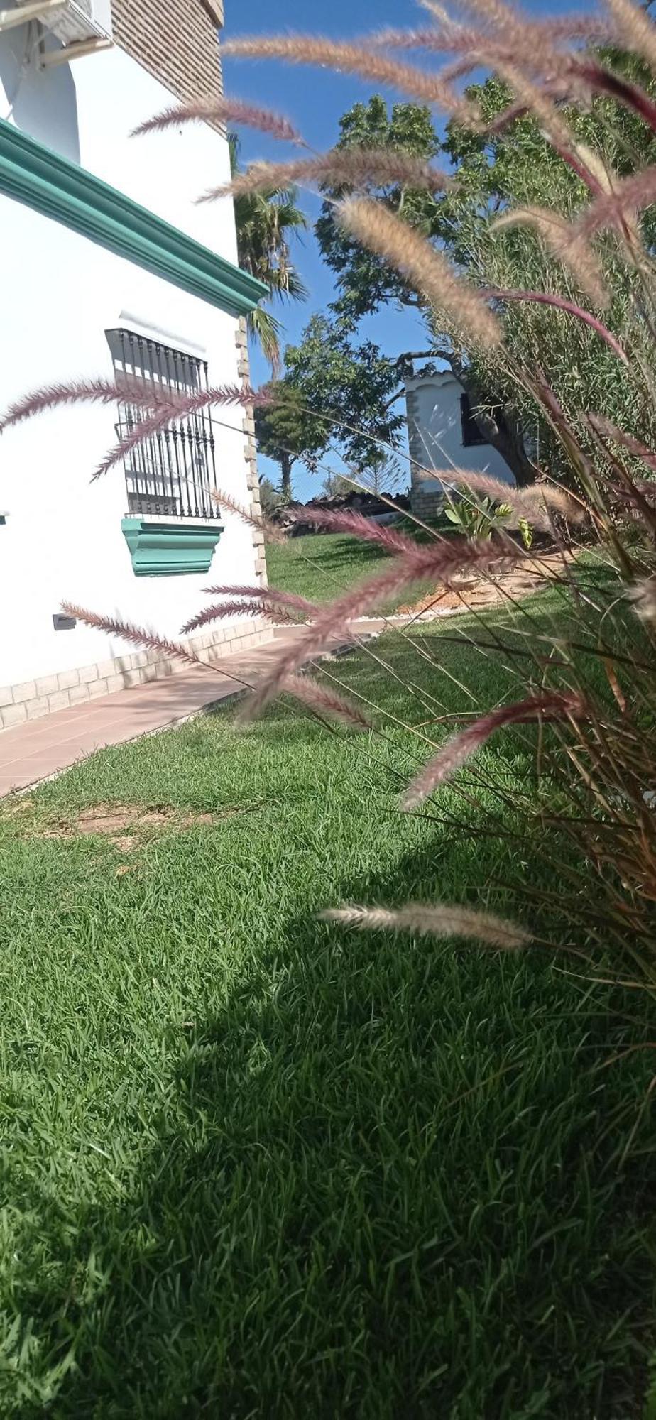 La Luciernaga Konuk evi Chiclana de la Frontera Dış mekan fotoğraf