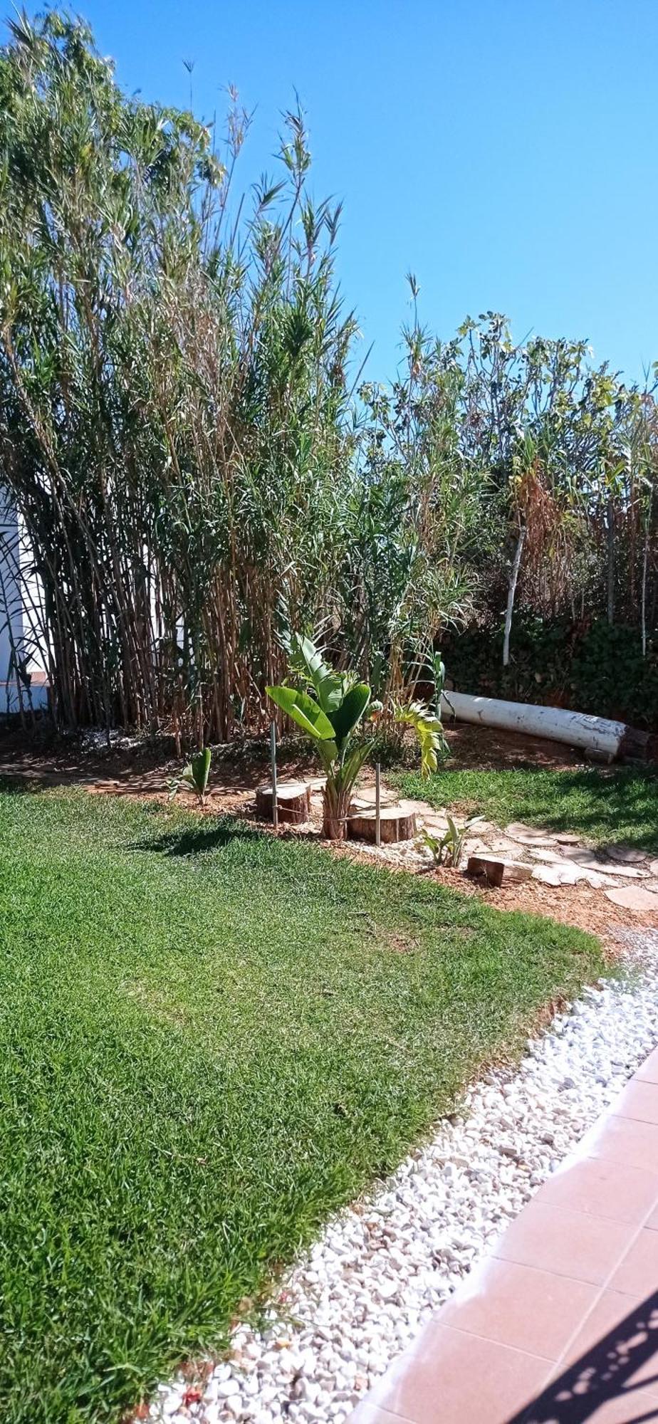 La Luciernaga Konuk evi Chiclana de la Frontera Dış mekan fotoğraf