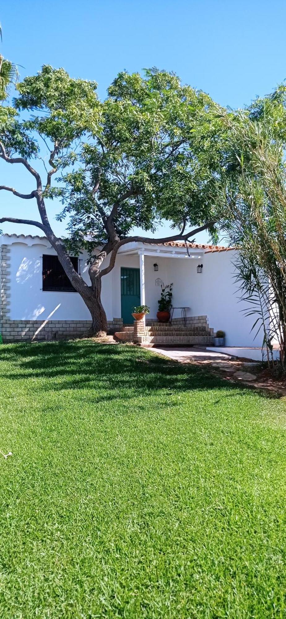 La Luciernaga Konuk evi Chiclana de la Frontera Dış mekan fotoğraf