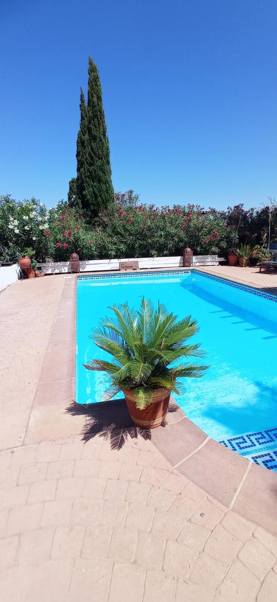 La Luciernaga Konuk evi Chiclana de la Frontera Dış mekan fotoğraf